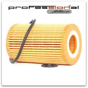 SN2518 YAĞ FİLTRESİ CLIO II KANGOO TWINGO 00>03 1.2 8V