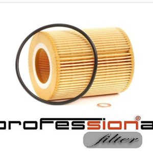 SN2536 YAĞ FİLTRESİ BMW 3 95>99 BMW 5 Z3 Z4 X3 X5